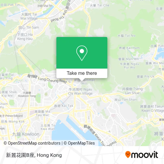 新麗花園B座 map