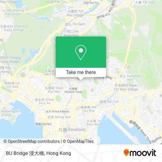 BU Bridge 浸大橋 map