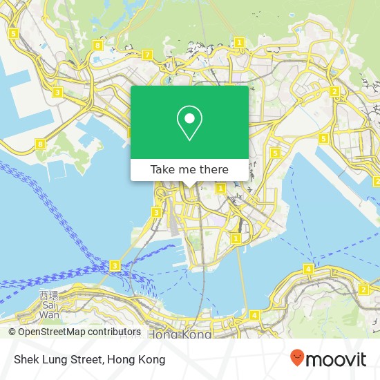Shek Lung Street地圖