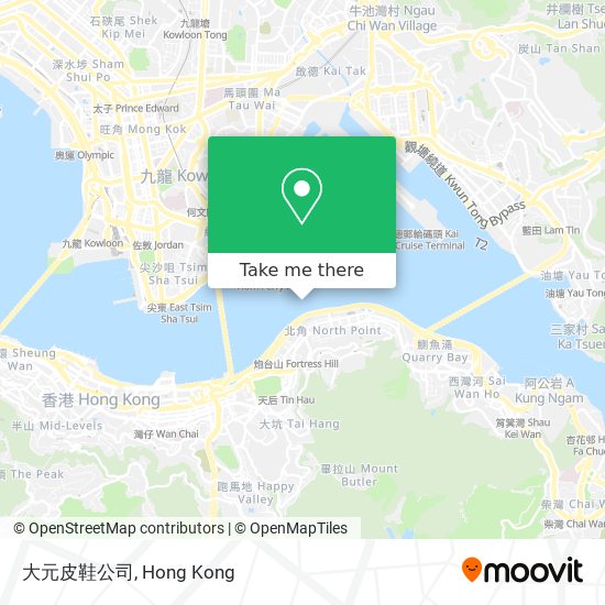 大元皮鞋公司 map