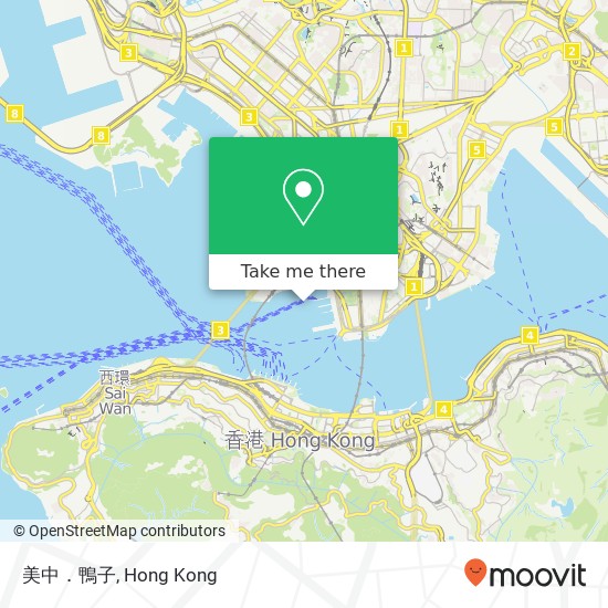 美中．鴨子, 港威大道 尖沙咀 map