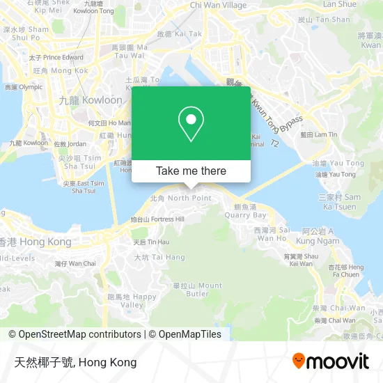 天然椰子號地圖