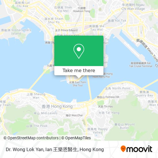 Dr. Wong Lok Yan, Ian 王樂恩醫生 map