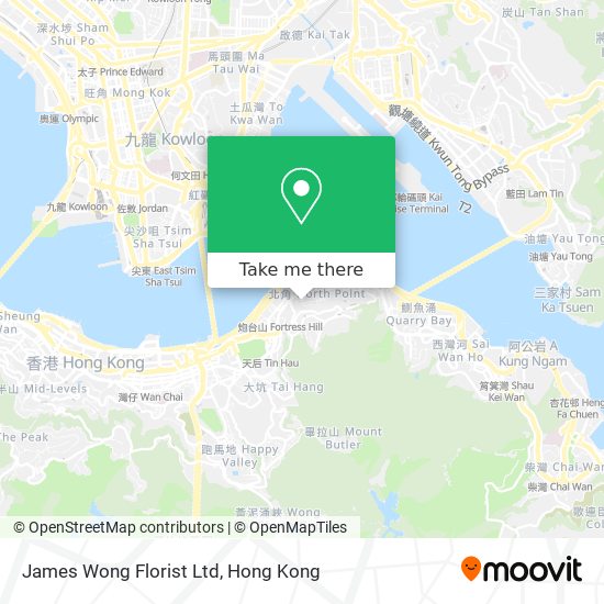 James Wong Florist Ltd map