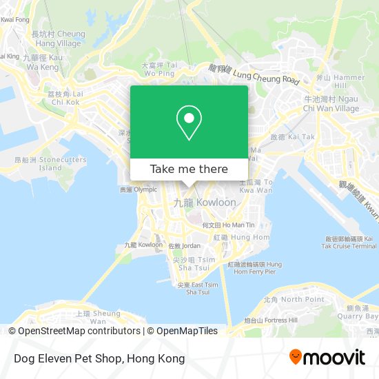 Dog Eleven Pet Shop map