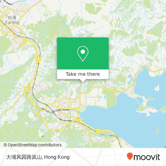 大埔凤园路岚山 map