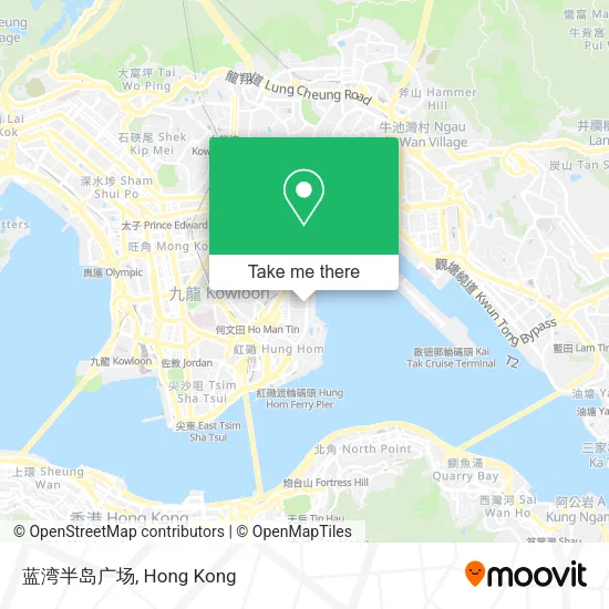 蓝湾半岛广场 map