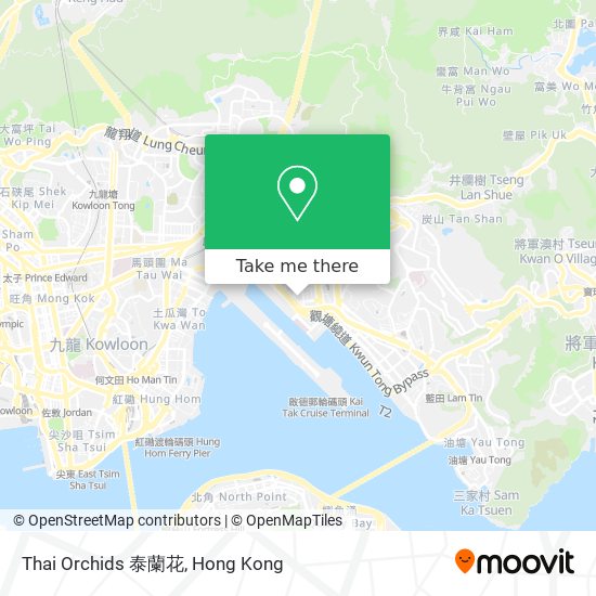 Thai Orchids 泰蘭花 map