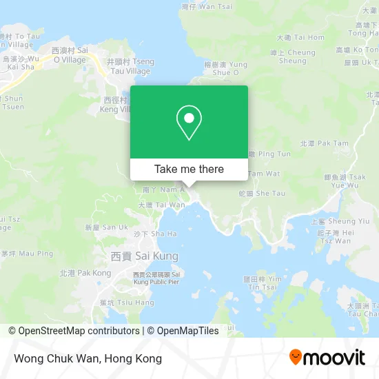 Wong Chuk Wan map