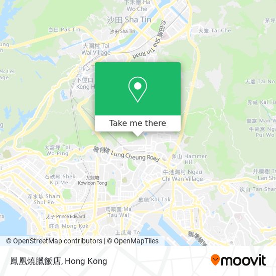 鳳凰燒臘飯店 map