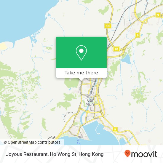 Joyous Restaurant, Ho Wong St地圖