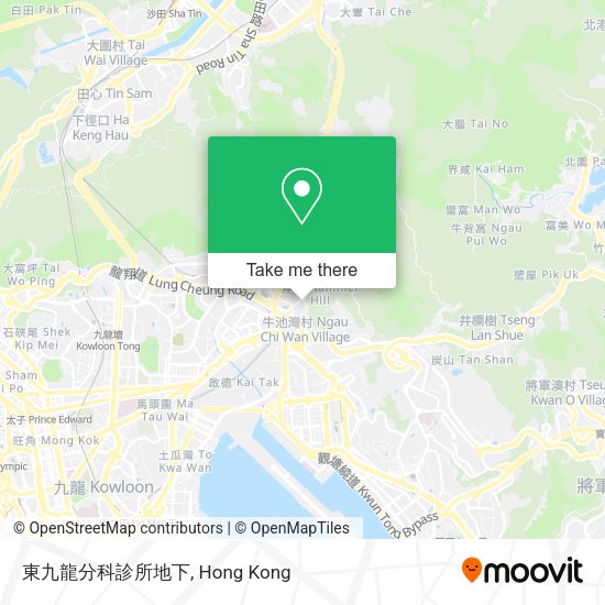 東九龍分科診所地下地圖