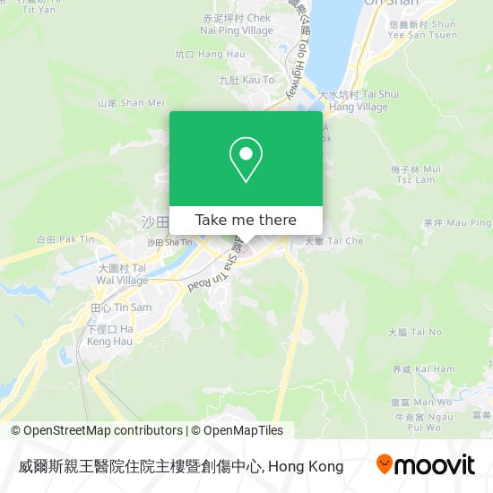 威爾斯親王醫院住院主樓暨創傷中心 map