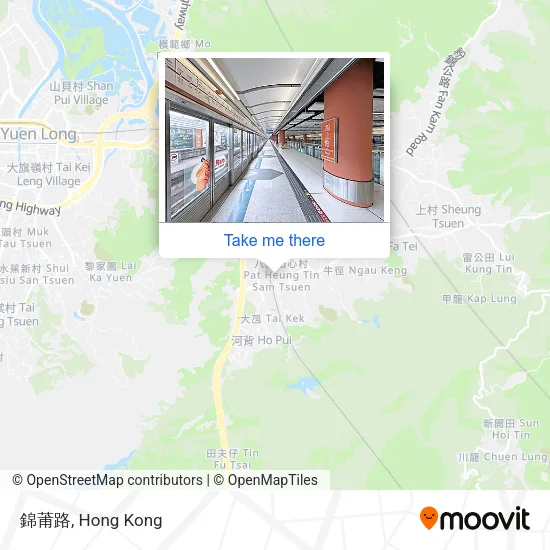 錦莆路 map