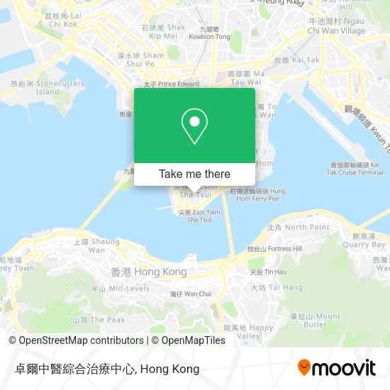 卓爾中醫綜合治療中心 map