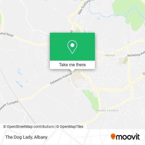 The Dog Lady map