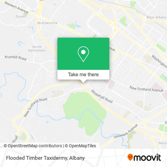 Mapa de Flooded Timber Taxidermy