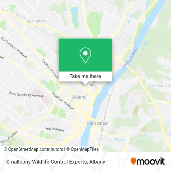 Smallbany Wildlife Control Experts map