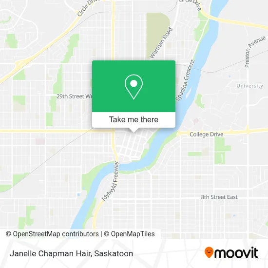 Janelle Chapman Hair map