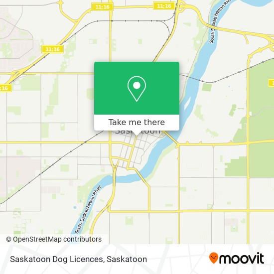 Saskatoon Dog Licences map