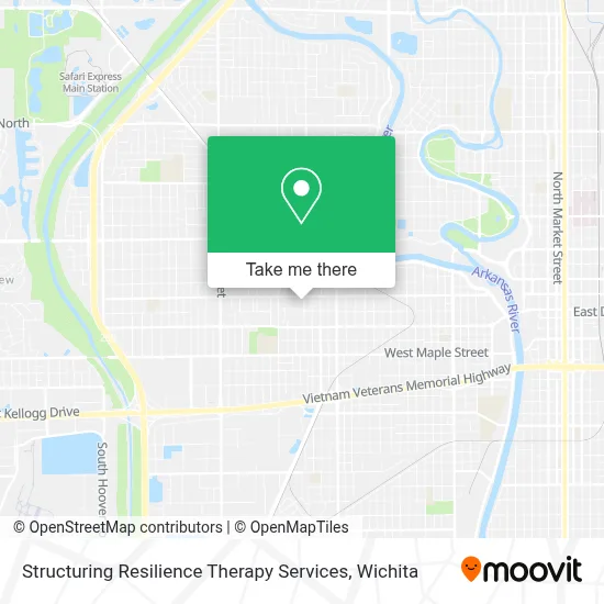 Structuring Resilience Therapy Services map
