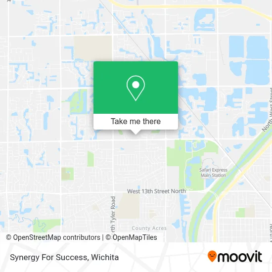 Synergy For Success map