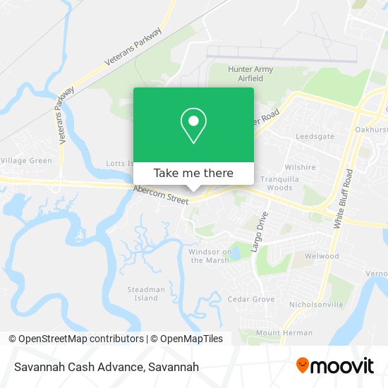 Savannah Cash Advance map