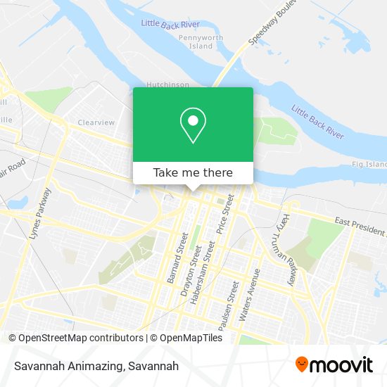 Mapa de Savannah Animazing