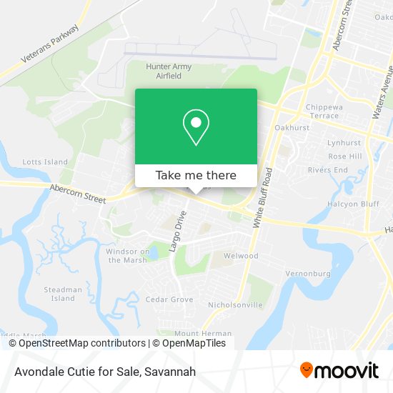 Avondale Cutie for Sale map