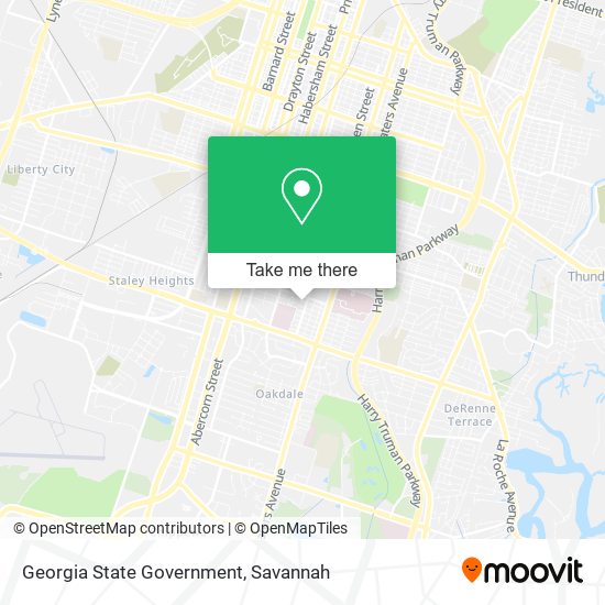 Georgia State Government map