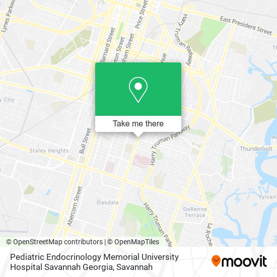 Mapa de Pediatric Endocrinology Memorial University Hospital Savannah Georgia