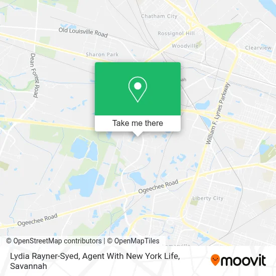 Lydia Rayner-Syed, Agent With New York Life map