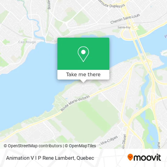 Animation V I P Rene Lambert map