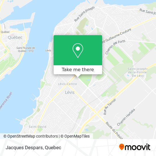 Jacques Despars map