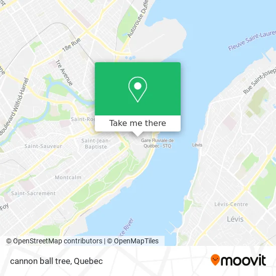 cannon ball tree map