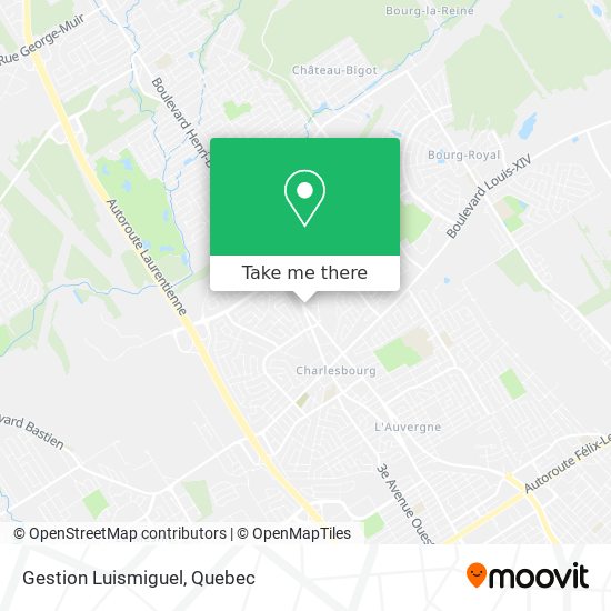 Gestion Luismiguel map