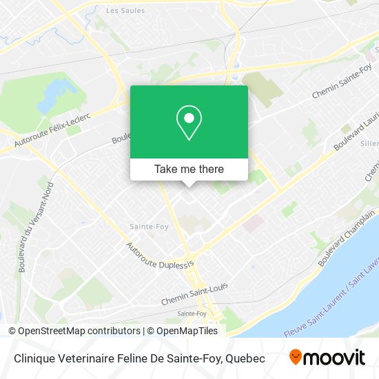 Clinique Veterinaire Feline De Sainte-Foy map