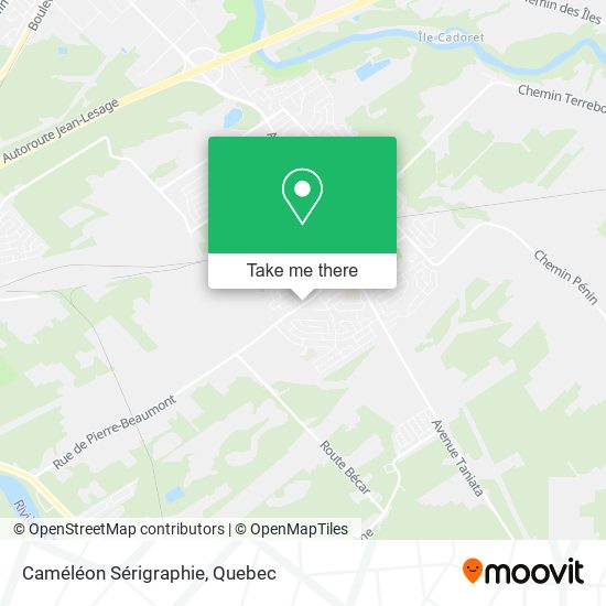 Caméléon Sérigraphie map