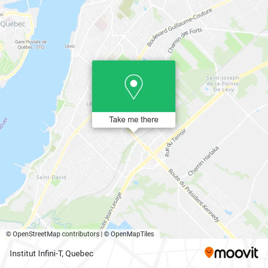 Institut Infini-T map