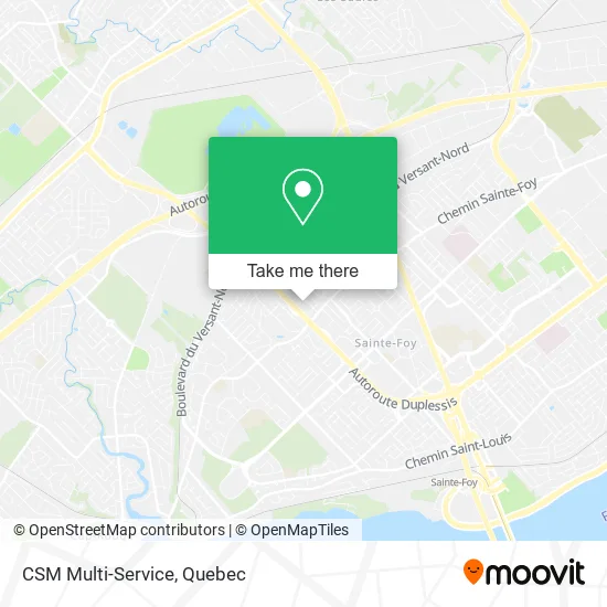 CSM Multi-Service map
