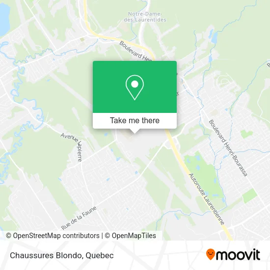Chaussures Blondo map