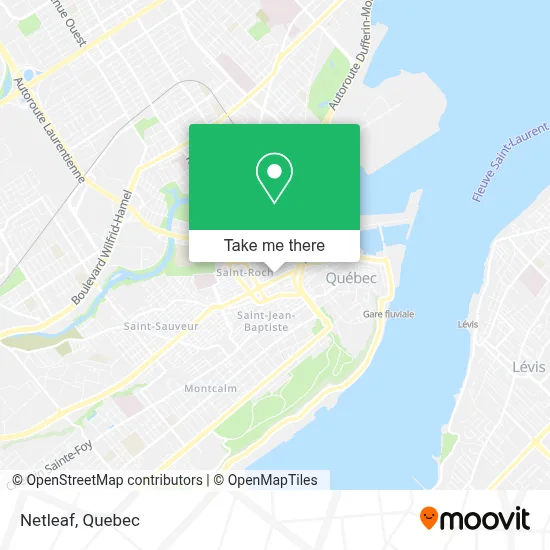 Netleaf map