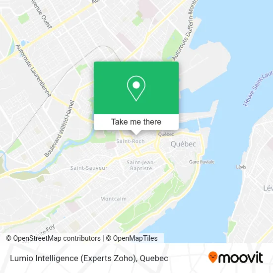 Lumio Intelligence (Experts Zoho) map