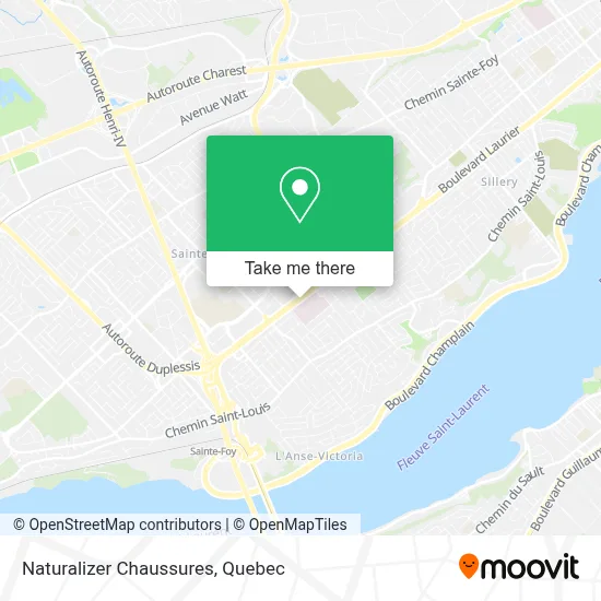Naturalizer Chaussures map