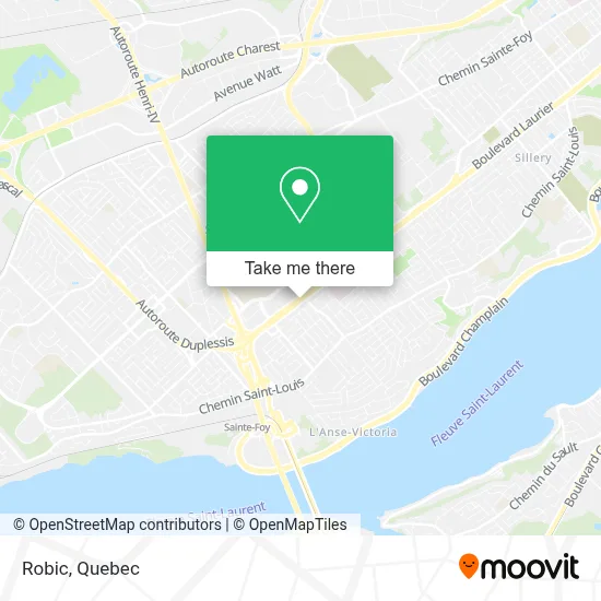 Robic map