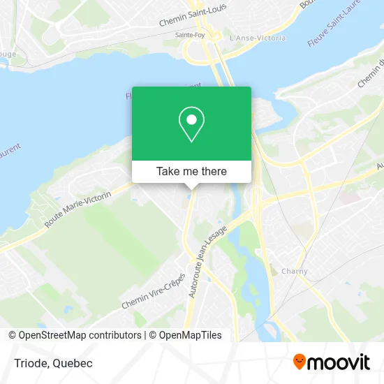 Triode map