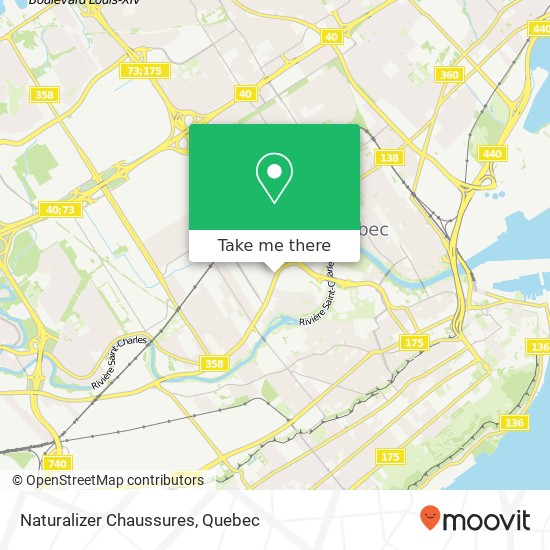 Naturalizer Chaussures map