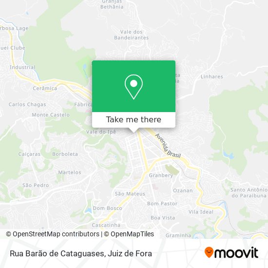 Rua Barão de Cataguases map