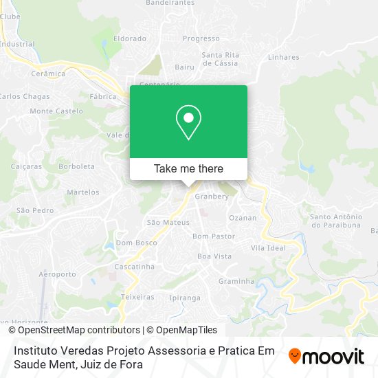 Instituto Veredas Projeto Assessoria e Pratica Em Saude Ment map