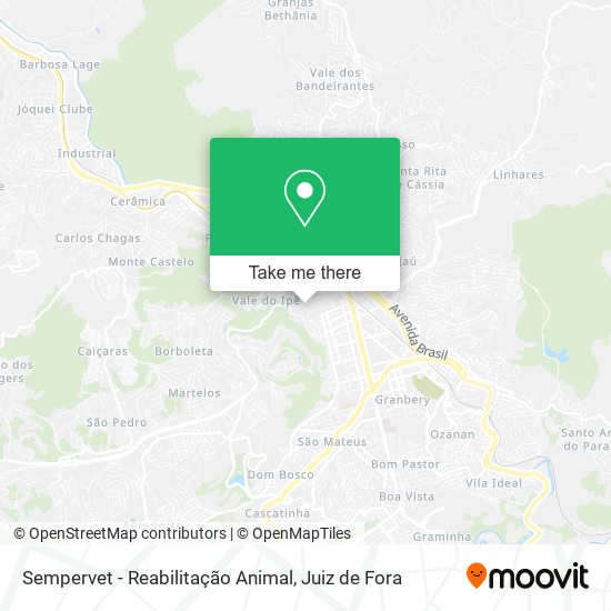 Sempervet - Reabilitação Animal map